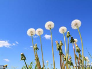 幸福是什么的经典语录（人生哲理经典语录100句）