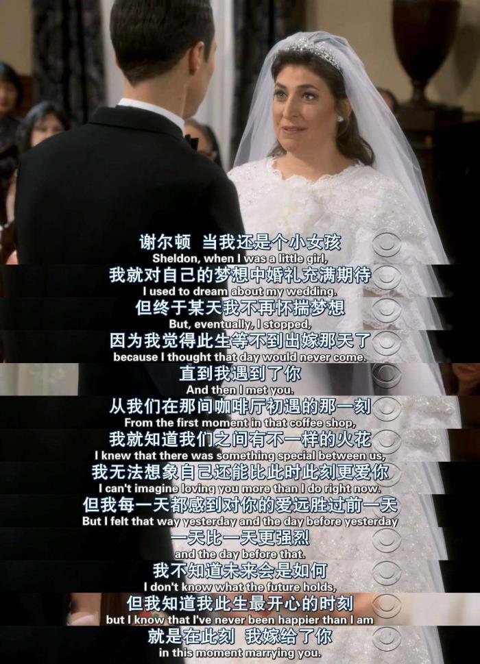 谢尔顿 艾米结婚 谢尔顿誓词