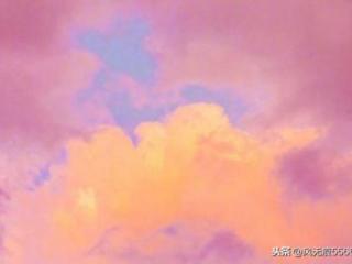 早安心情一句话十个字（一句话早安心语精选）