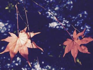 怎么对付婆家一群烂人（发现婆家恶到难以接受）