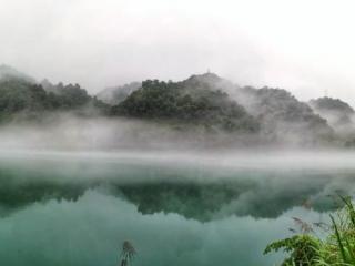 责任心的句子（才能做人；有责任心）