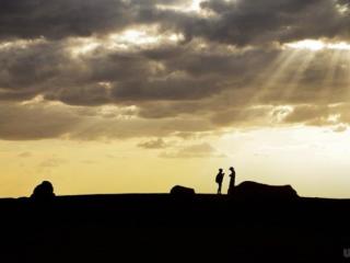 阳光甚好的唯美短句（唯美阳光的文案句子）
