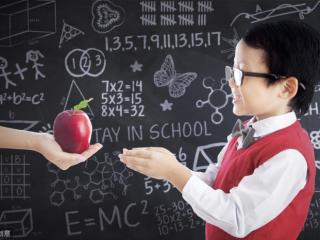 赞美老师辛苦付出的话（赞美教师无私奉献的名言）