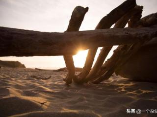 赞美生活美好的句子（慢慢品味这些很有哲理的句子）