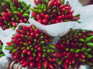 孕妇吃什么会流产（孕妇吃什么容易流产）