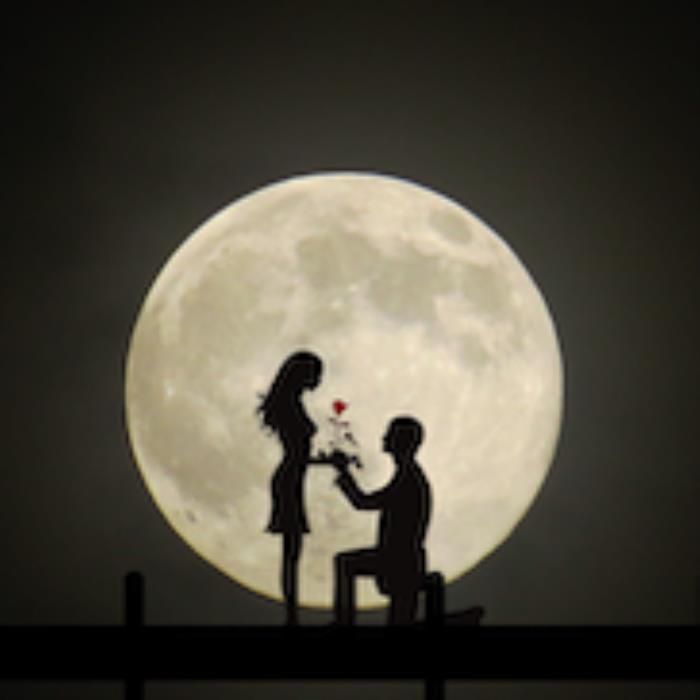 正确的婚姻价值观(正确的婚姻价值观你知道是哪些吗)