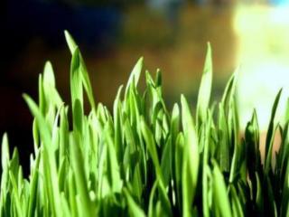 正能量励志故事及感悟（非常励志的小故事3则及感悟）