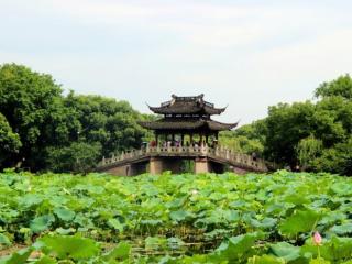 下雨了想发个朋友圈（诗词｜雨天发朋友圈）