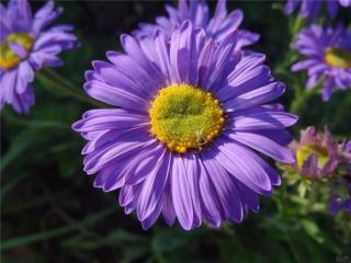 激励人上进的句子（激励自己上进的句子）