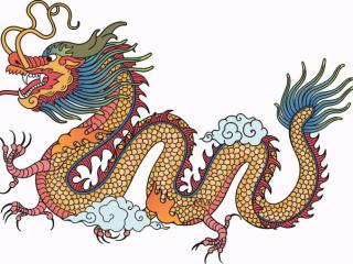 真龙被首次发现组图（湖南一山洞发现真龙）