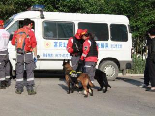 为什么国家要隐瞒龙（曝隐瞒出逃或怕影响五一假期收入）