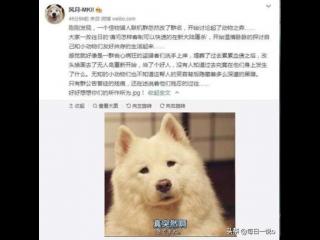 非主流空间网名（我们一起取过的非主流网名）