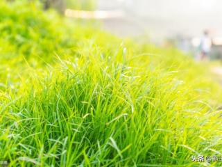 为什么离职原因巧妙回答（被问到上家公司离职原因时）