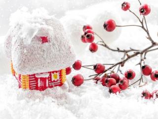 为什么过年要吃饺子（大家都知道除夕守岁吃饺子）