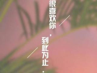 失望心凉的唯美图片（美到心碎的唯美爱情说说带图片）