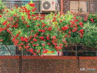 一个人变了的说说（人变了心言而无信的委屈说说）