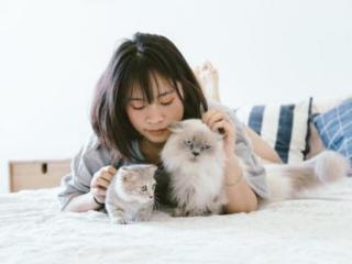 喜欢猫的女人性格（说喜欢猫的女人容易出轨）