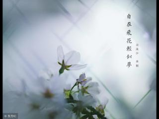 走着走着就散了的感悟（感悟‖为什么我们走着走着就散了）