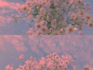 浪漫的句子（30条浪漫到极致的句子）