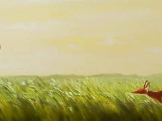 喜欢一个人产生荷尔蒙，会释放爱情的荷尔蒙信号