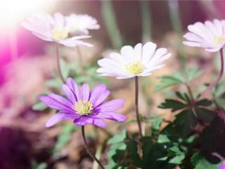 女人励志的句子（女人靠自己的励志句子）