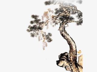 松树的诗句（有关松树的诗句(共250句)）