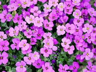 关于人生的句子（关于人生的经典语录）