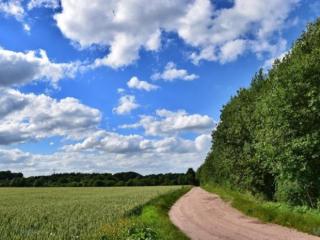好句子大全唯美（文艺唯美意境的句子）