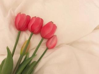 想对男朋友说点心里话，送给男朋友的简短情话