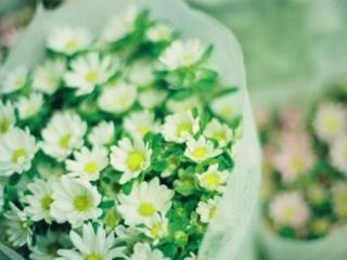 看了让男人心疼的短句（让对方看到心疼的短句）