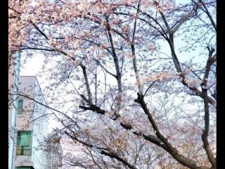 水瓶女双鱼男谁吃定谁，各星座女被什么星座男吃定