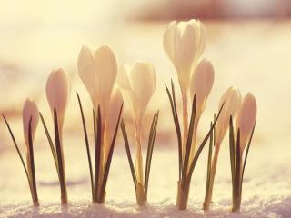 特别在乎一个人的句子（独爱一人的霸气句子）