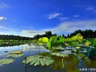 伤感但很现实的话（生活很现实的伤感说说短语）