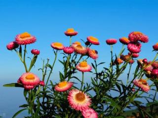 对老婆亏欠和感恩的话（年轻时亏欠老婆太多）