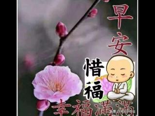 问候女朋友早上好的甜蜜爱情话语，亲爱的早上好正能量问候语