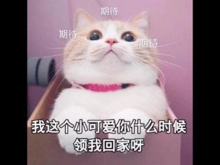 说话套路撩到男生（撩小哥哥的套路句子）