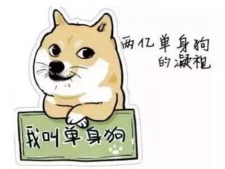 单身情人节（单身也是情人节的正确打开方式）