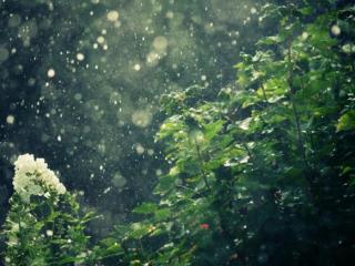 送给那些爱说闲话的人（总有那么一个爱说闲话的人）