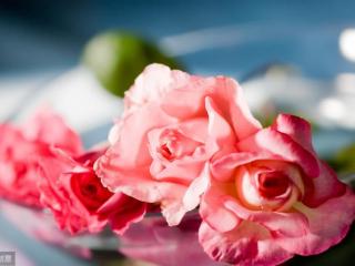 水瓶女双子男，当水瓶女爱上双子男