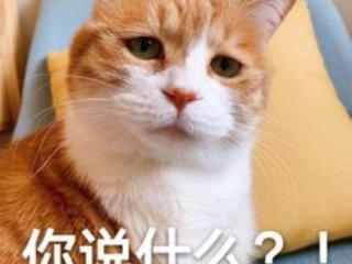 说男人双标是什么意思（男生哪些行为属于双标）