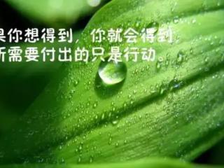 感恩相遇（感恩相遇的每一个朋友）