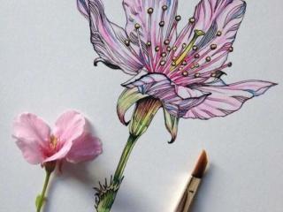 时间流逝的句子（享受时光的句子说说）