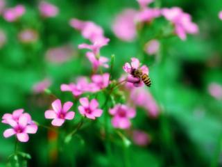 十二星座颜值排名女，十二星座女外貌分数大排名