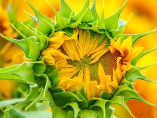 善良正能量的句子（阳光正能量的文艺句子）