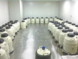 受孕成功的梦（50岁女子高龄受孕产子终圆梦）