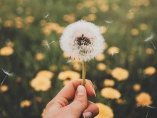 适合晚上发的心情说说（晚上适合发朋友圈的说说）