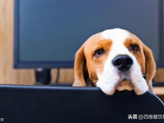 上班无聊的时候干什么（上班无聊时你可以做这几件事情）