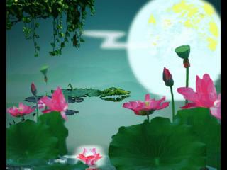 什么梦预示姻缘到了（原来梦境中早已预示）