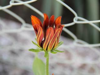 教你做个会说话的女人，做一个会说话的女子