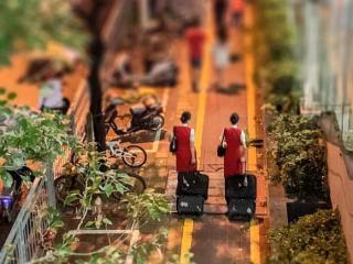 深圳合租生活（揭秘深圳空少空姐的真实生活）